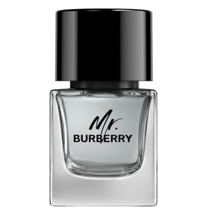 Burberry Mr. Burberry Apă de toaletă, 50ml