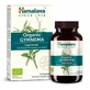 Himalaya Organische Gymnema, 60 tabletten