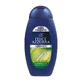 Felce Azzurra Men Power Sport Shampoo and Shower Gel 2-in-1, 400 ml