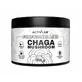 ActivLab Chaga-Pilz, 100 g