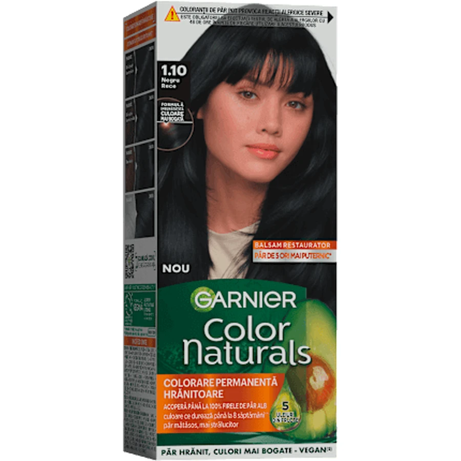 GARNIER Colour naturals Dauerhafte Haarfarbe 1.10 Cool Black, 1 Stück