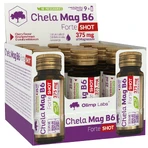 Olimp Chela-Mag B6 Forte Shot, ampullen, kersensmaak, 9 x 25 ml