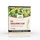 Circulatory Tea - Legs without varicose veins, 150 g, Dorel Plant