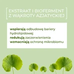 Sylveco FeedSkin Centella Asiatica, gezichtsreinigingsschuim met Aziatische wakrot, 150 ml