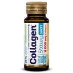 Olimp Collagen Stawy Shot, ampolla de vidrio, sabor grosella negra, 9 x 25 ml