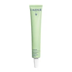 Caudalie Vinopure, spot treatment with salicylic acid, 15 ml