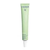 Caudalie Vinopure, spot treatment with salicylic acid, 15 ml