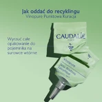 Caudalie Vinopure, spot treatment with salicylic acid, 15 ml