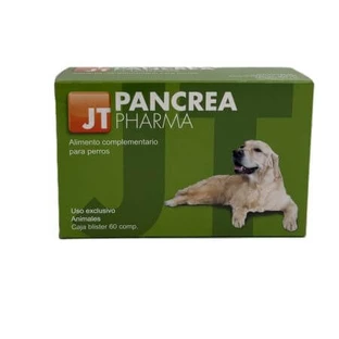 Bauchspeicheldrüse, 60 Tabletten, JT Pharma