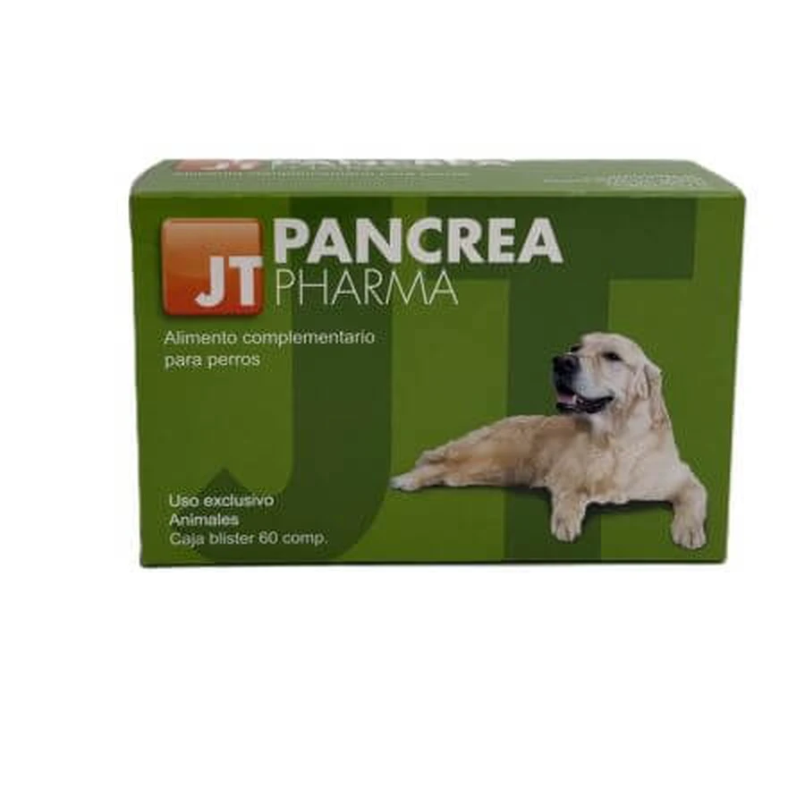 Bauchspeicheldrüse, 60 Tabletten, JT Pharma