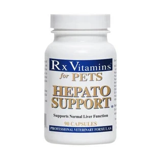 Hepato Support, 90 Kapseln, RX Vitamine