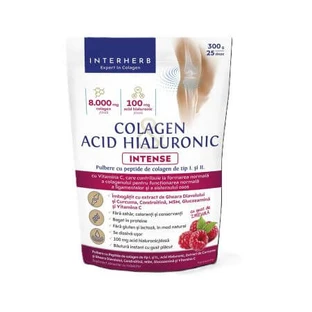 Intensives Kollagen- und Hyaluronsäure-Pulver mit Himbeergeschmack, 300 g, Interherb