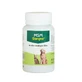 Msm, 60 tabletten, Stangest
