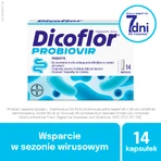 Dicoflor Probiovir, para niños a partir de 3 años y adultos, 14 cápsulas