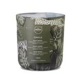 Aroma Home Wild, scented candle, jungle, 150 g