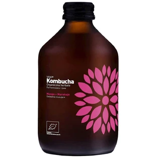 Vigo, kombucha Bio Mango + Fruta de la Pasión, 330 ml