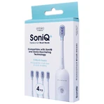 Zent SoniQ+, sonic toothbrush tips, standard, 4 pieces