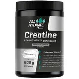 ALLhydrate Creatine Monohydrate, powder, natural flavor, 600 g