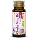 Olimp Chela-Mag B6 Forte Shot, ampoules, orange flavor, 9 x 25 ml