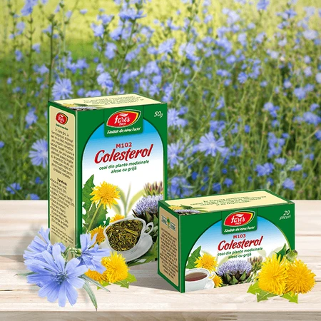 Té Colesterol, M103, 20 bolsitas, Fares