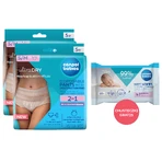 Canpol Babies set, 2-in-1 slip postnatal respirant, avec coussinets, jetable, taille S/M, 2 x 5 pcs + lingettes humides, 60 pcs gratuit