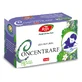 Konzentrationstee, 20 Portionsbeutel, Fares