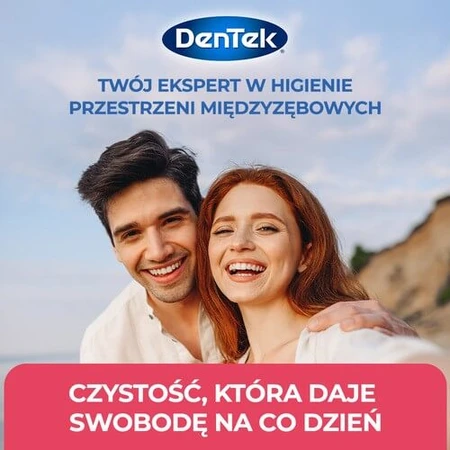 DENTEK Cure-dents en fil dentaire complet et propre, 40 pièces