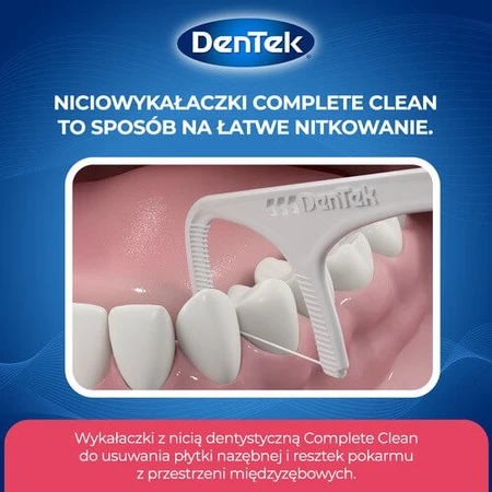 DENTEK Cure-dents en fil dentaire complet et propre, 40 pièces