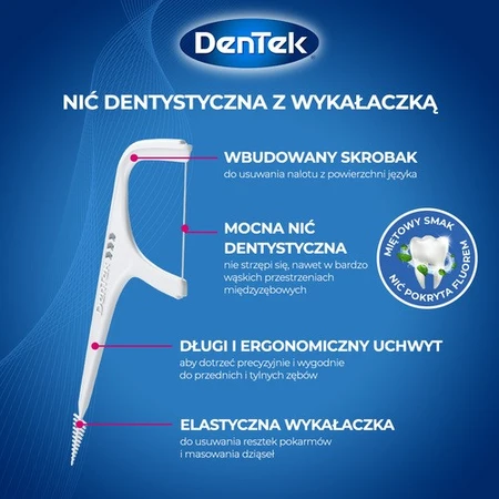 DENTEK Cure-dents en fil dentaire complet et propre, 40 pièces