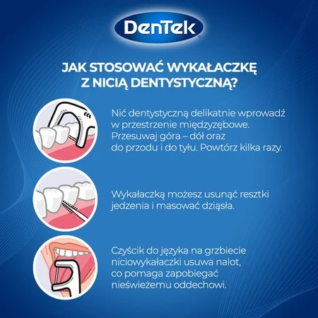 DENTEK Cure-dents en fil dentaire complet et propre, 40 pièces