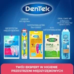 DENTEK Cure-dents en fil dentaire complet et propre, 40 pièces