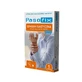 PASO-FIX wrist joint elastic band short - size M