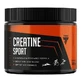 Trec Endurance Creatine Sport Creatine watermelon flavor, 300 g