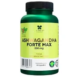LANCO NUTRITIONS Ashwagandha Forte Max Your resistance to stress, 60 capsules
