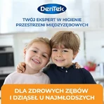 DENTEK Kids Dental Floss Toothpicks Fyn Flossers, 40pcs