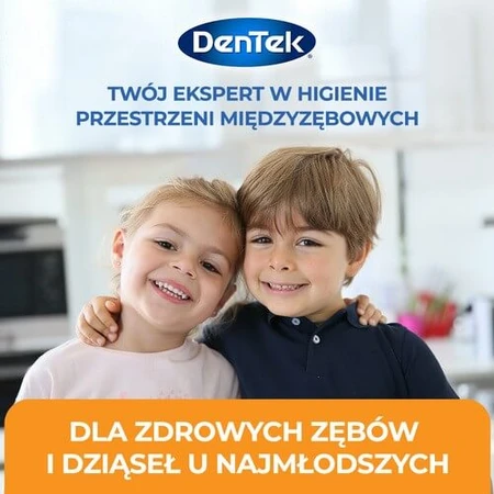 DENTEK Kids Dental Floss Toothpicks Fyn Flossers, 40pcs