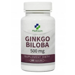 MedFuture Ginkgo Biloba 500mg, 60 capsules
