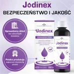 Hausapotheke Jodinex, 250 ml