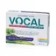 VOCAL blackcurrant flavored soft lozenges, 24 pcs