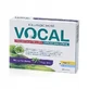 VOCAL blackcurrant flavored soft lozenges, 24 pcs