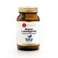 Yango Magnésium à l'ashwagandha au safran et à la vitamine B6, 90 gélules
