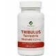 MedFuture Tribulus Terrestris, 60 capsules