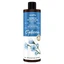 VENITA Trichologisches prebiotisches Shampoo für empfindliche Kopfhaut mit Zichorie, 300 ml