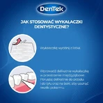DENTEK Dental Pocket Picks, 33pcs