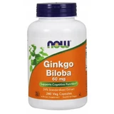NOW Ginkgo Biloba 60mg, 240 cápsulas