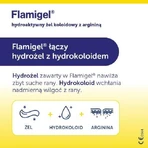 Flamigel hydrocolloïd gel, 100 g - wondhelende gel