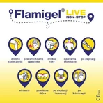 Flamigel hydrocolloïd gel, 100 g - wondhelende gel