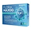 FLORA MAX GG, 20 capsules