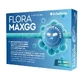 FLORA MAX GG, 20 capsules