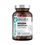 MyVita SILVER Organic silicon 300mg, 120 capsules